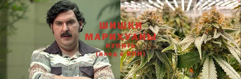 Каннабис OG Kush  блэк спрут онион  Ишим  купить наркотик 